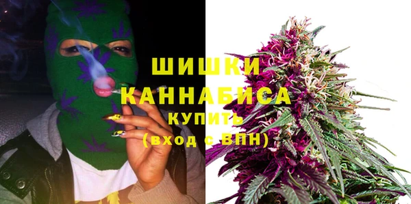 сатива Каменск-Шахтинский