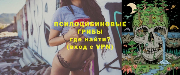 стаф Инсар
