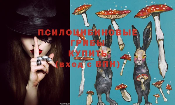 сатива Каменск-Шахтинский