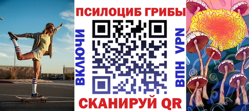 Купить закладки  Ершов  Псилоцибиновые грибы ЛСД 